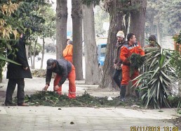 نظافت شهری